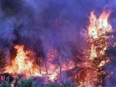 Ημερήσιος Χάρτης Πρόβλεψης Κινδύνου Πυρκαγιάς της Γενικής Γραμματείας Πολιτικής Προστασίας 15 Οι επαναλαμβανόμενες παραβιάσεις των αρμοδιοτήτων του Πυροσβεστικού Σώματος αποτελούν συνειδητή ενέργεια σε βάρος των συμφερόντων του ελληνικού λαού