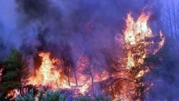 Ημερήσιος Χάρτης Πρόβλεψης Κινδύνου Πυρκαγιάς της Γενικής Γραμματείας Πολιτικής Προστασίας 1 Οι επαναλαμβανόμενες παραβιάσεις των αρμοδιοτήτων του Πυροσβεστικού Σώματος αποτελούν συνειδητή ενέργεια σε βάρος των συμφερόντων του ελληνικού λαού