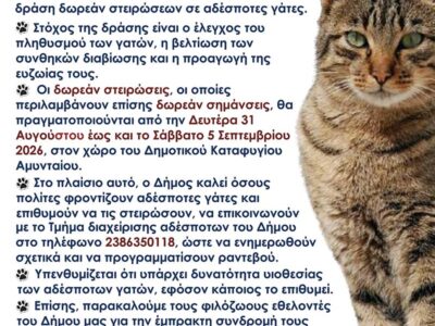 Δράση δωρεάν στειρώσεων σε γάτες του Δήμου Αμυνταίου 17 Δράση δωρεάν στειρώσεων σε γάτες του Δήμου Αμυνταίου