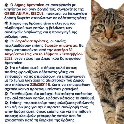 Δράση δωρεάν στειρώσεων σε γάτες του Δήμου Αμυνταίου 3 Δράση δωρεάν στειρώσεων σε γάτες του Δήμου Αμυνταίου