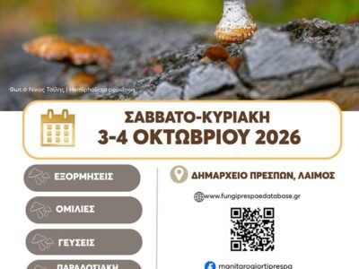 Γιορτή Μανιταριού στην Πρέσπα 22 Γιορτή Μανιταριού στην Πρέσπα
